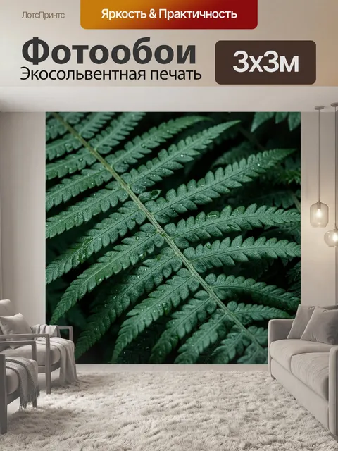 Фотообои Крупный план листа папоротника