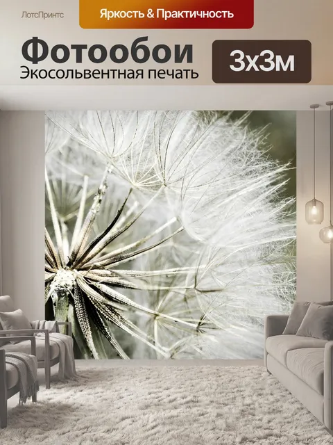 Фотообои Одуванчик