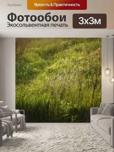 Фотообои Деревья
