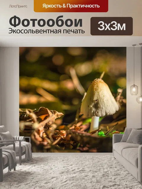 Фотообои Гриб