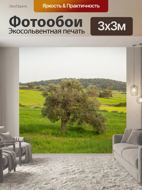 Фотообои Оливковое дерево