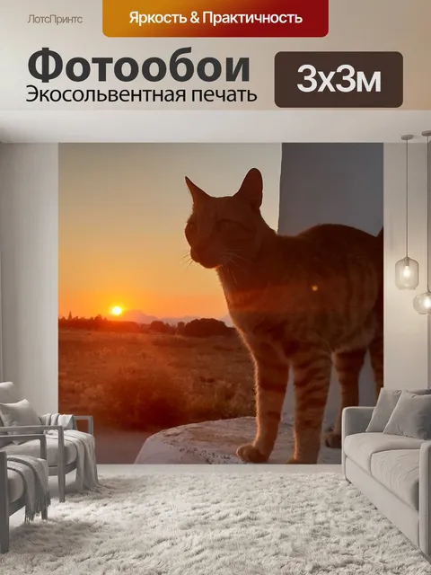Фотообои Вечерняя атмосфера