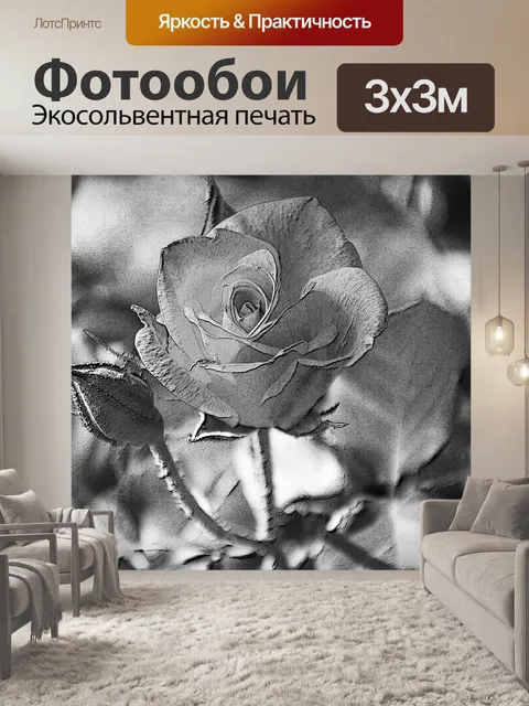 Фотообои Черно-белая роза