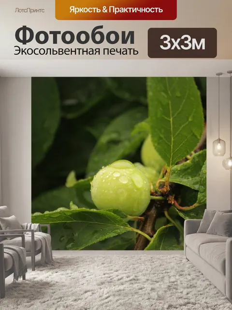 Фотообои Листья