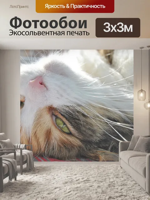 Фотообои Кошка