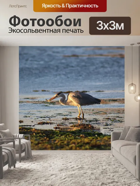 Фотообои Вода