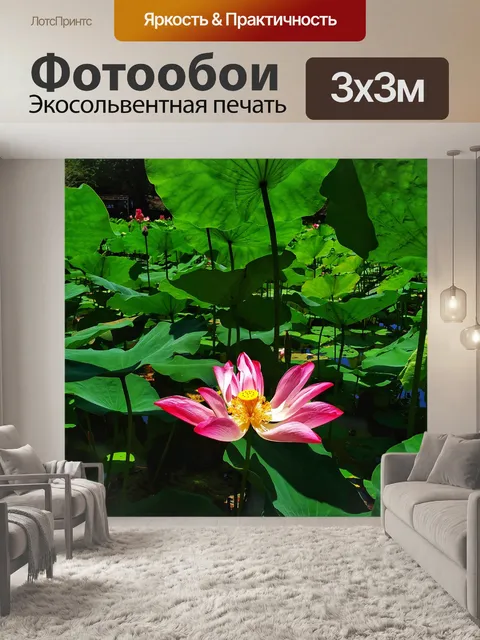 Фотообои Лотос