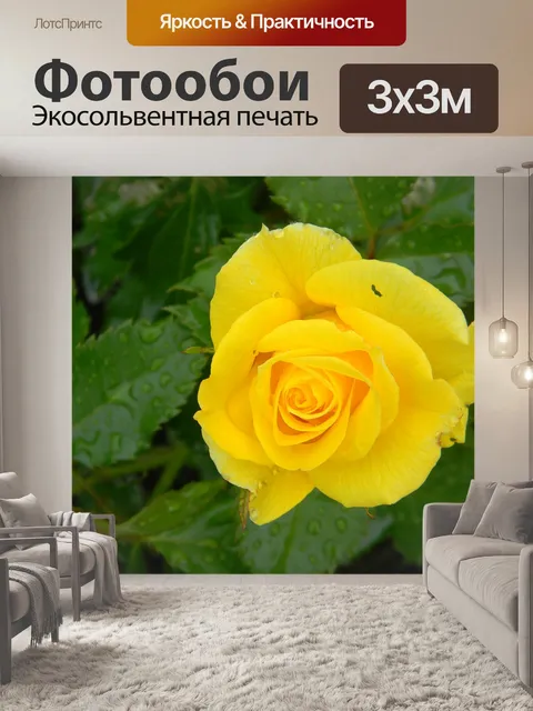 Фотообои Розы
