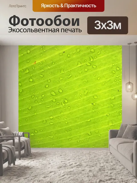 Фотообои Зеленый лист банан