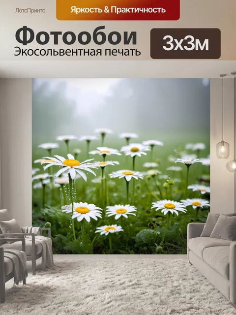 Фотообои закутанная в туман весеннее утро, где ромашки являются единственными яркими цветами в серой палитре