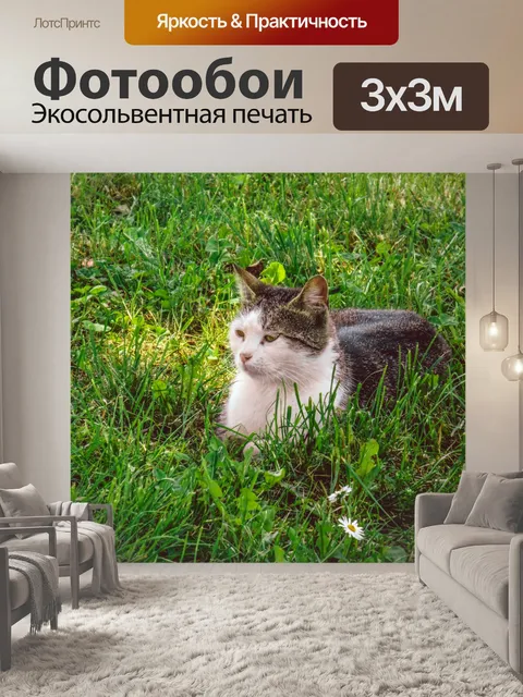 Фотообои Отдыхающая кошка
