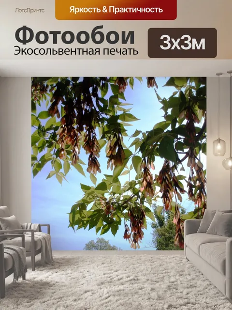 Фотообои Семена зола против неба
