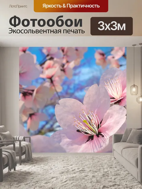 Фотообои Цветок сакуры