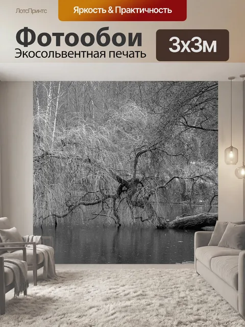 Фотообои Черно-белый
