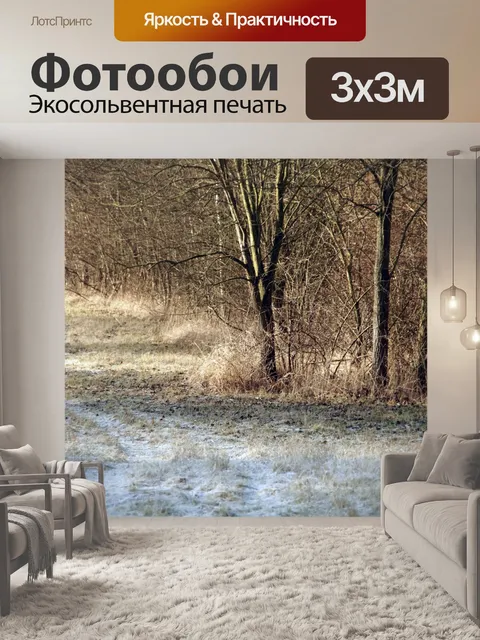 Фотообои Поляна деревья мороз осень