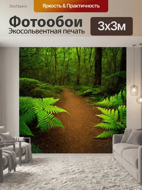Фотообои лесная тропа, покрытая листьями папоротника