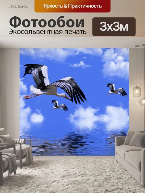 Фотообои Птицы