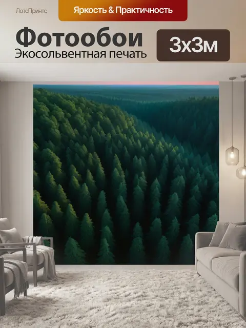 Фотообои закат над густым лесом