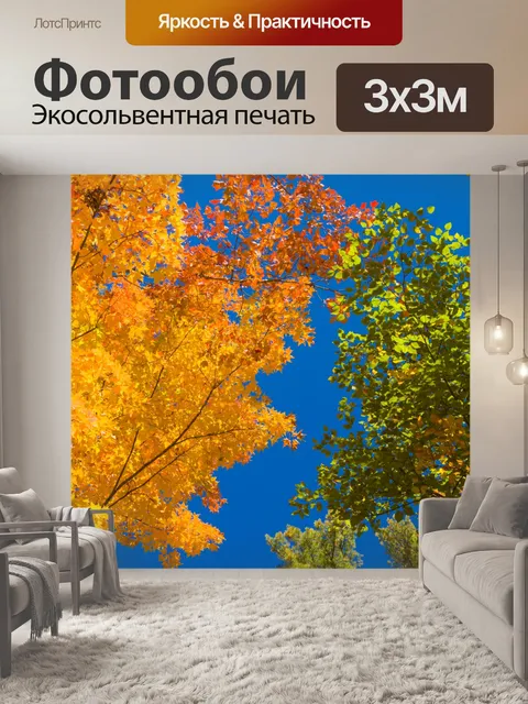 Фотообои Fall листва и голубое небо