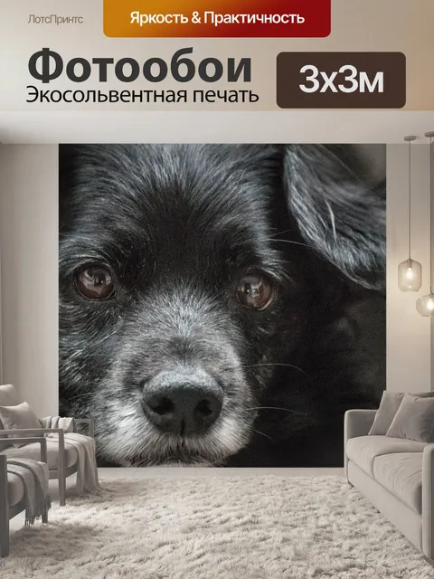 Фотообои Природа
