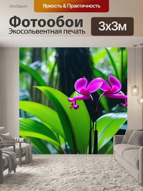 Фотообои орхидеи в тропическом лесу