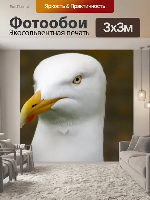 Фотообои чайка