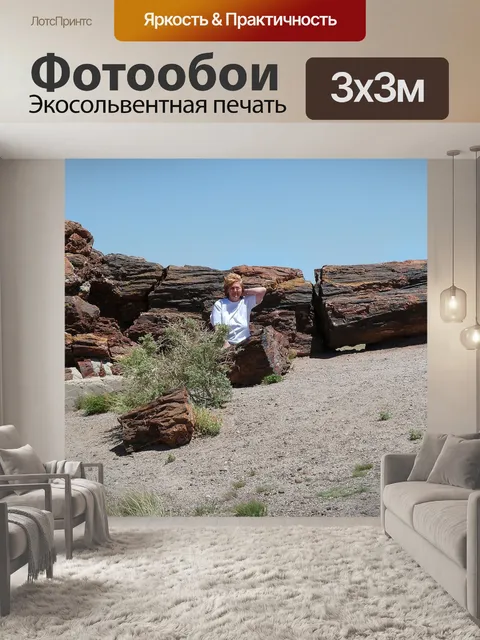 Фотообои Окаменел