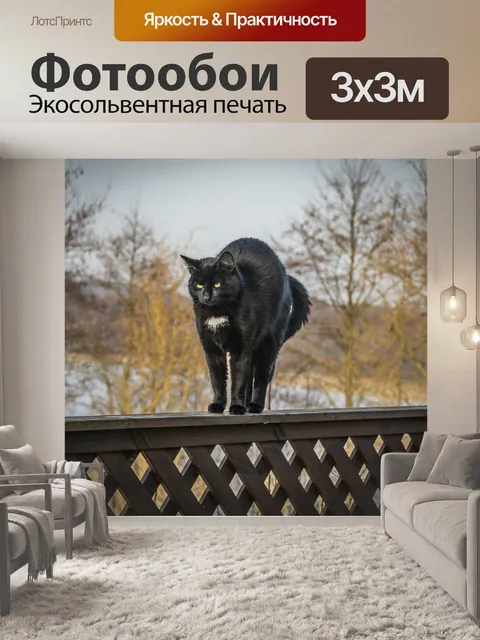 Фотообои Кошка