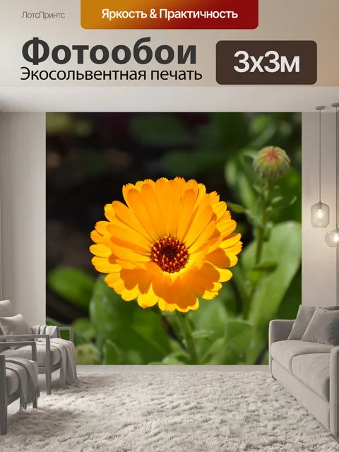 Фотообои Цветы