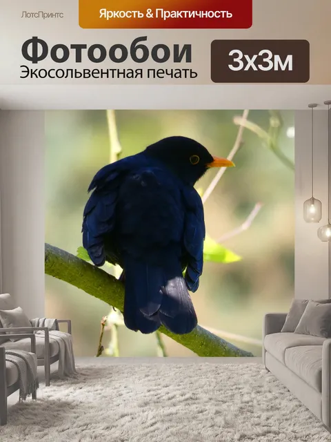 Фотообои Птицы