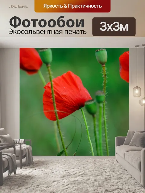 Фотообои Маки