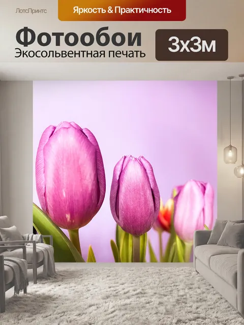 Фотообои Тюльпаны