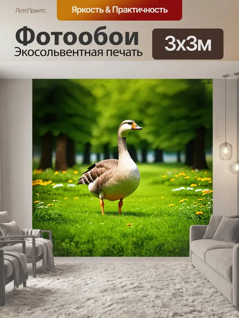 Фотообои гусь величественно стоит на зеленом лугу