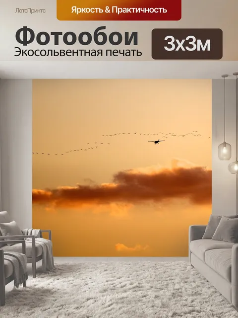 Фотообои Птицы