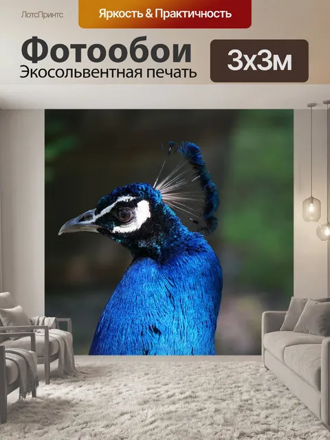 Фотообои Павлин