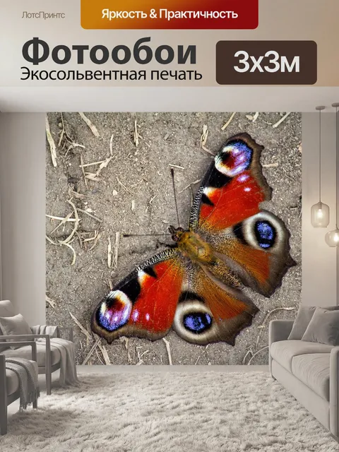 Фотообои Бабочка