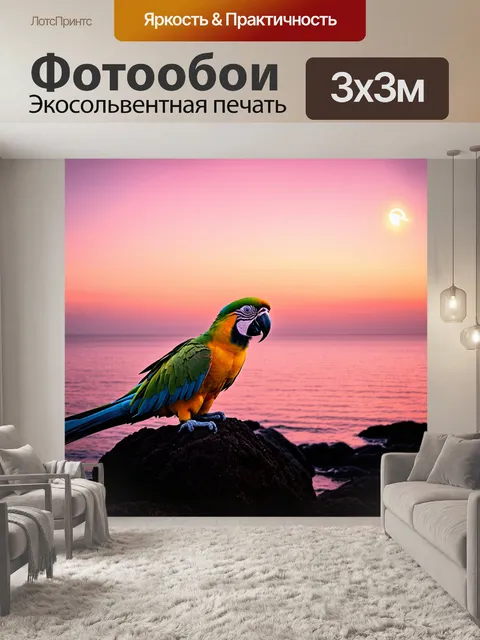 Фотообои попугай сидит на камнях у моря, когда вечерняя звезда начинает светить, создавая волшебную атмосферу
