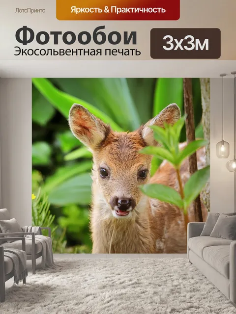 Фотообои Олень