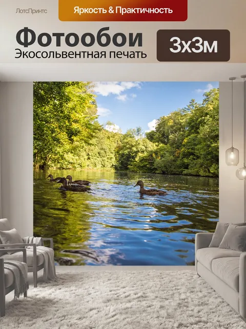 Фотообои лес