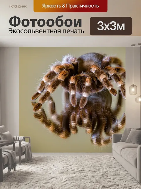 Фотообои Отражение