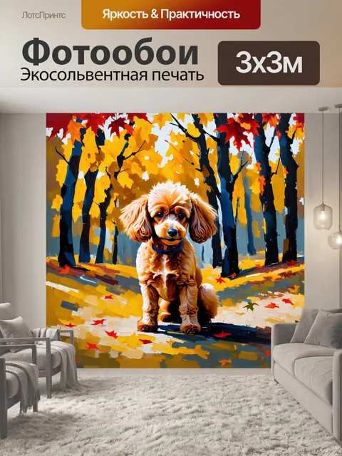 Фотообои миниатюрный пудель, позирующий на фоне осеннего леса с золотыми и красными листьями, которые падают вокруг…