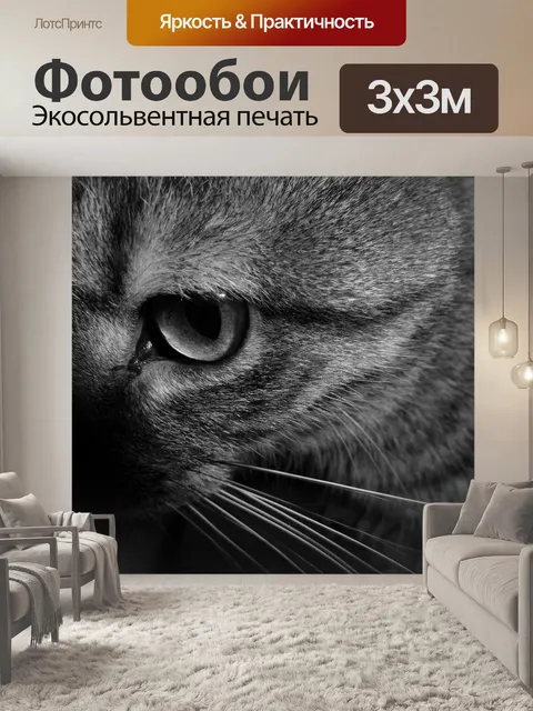 Фотообои Кошка