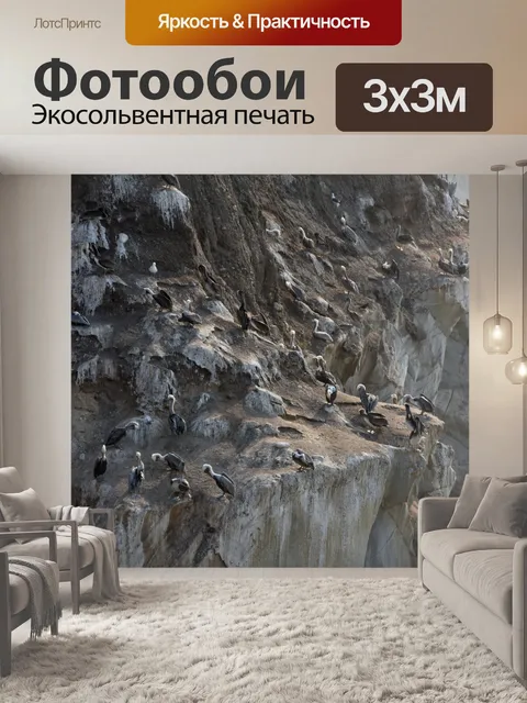 Фотообои Пеликаны