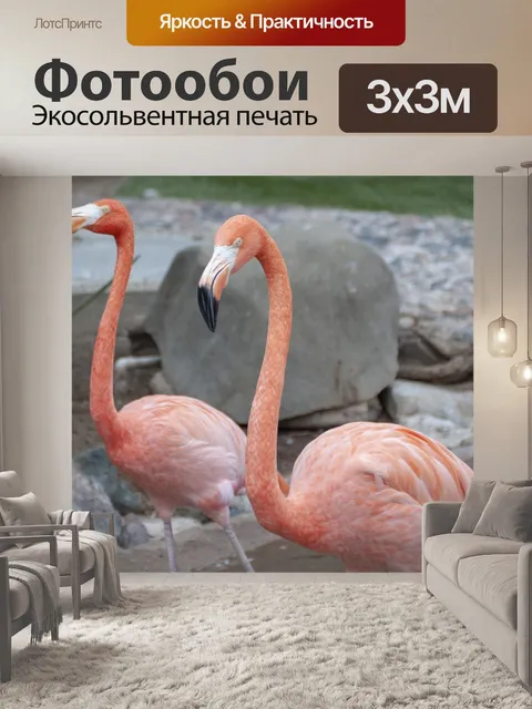 Фотообои Фламинго