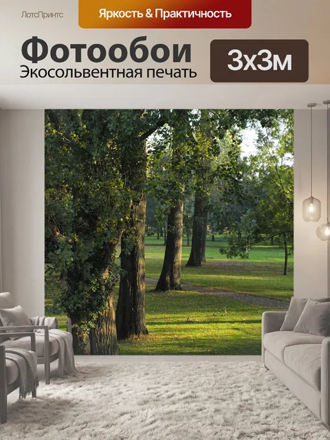 Фотообои Тополя