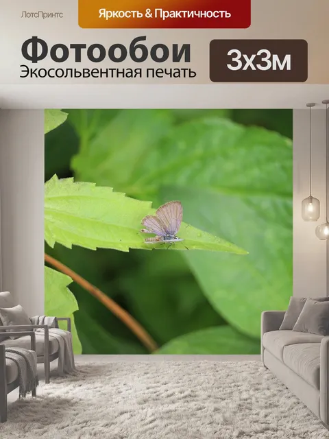 Фотообои Листья