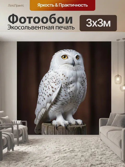 Фотообои Белоснежная сова на пне
