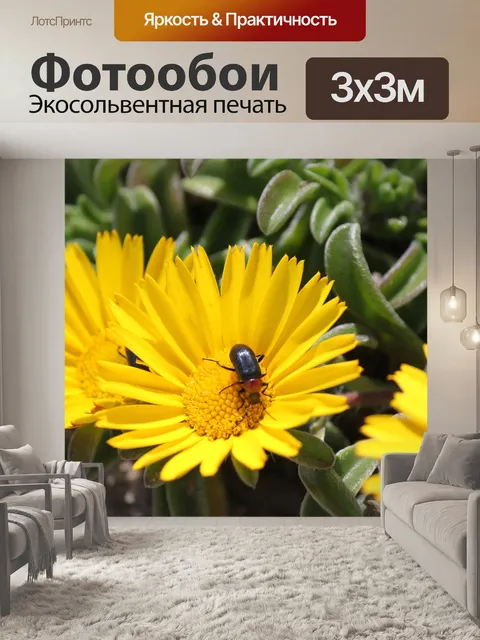 Фотообои Цветы