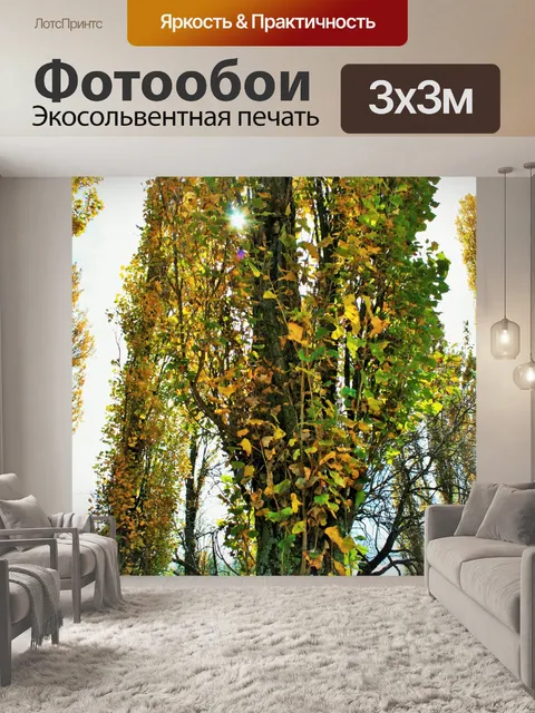 Фотообои желтые и зеленые листья на тополя