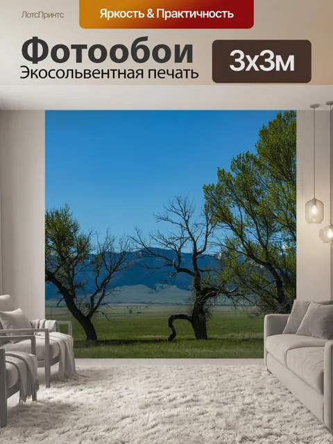 Фотообои Деревья